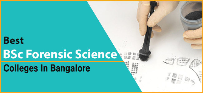 Image with text that says Best BSc Forensic Science Colleges in Bangalore with a Forensic Scientist taking shoe prints in the background.