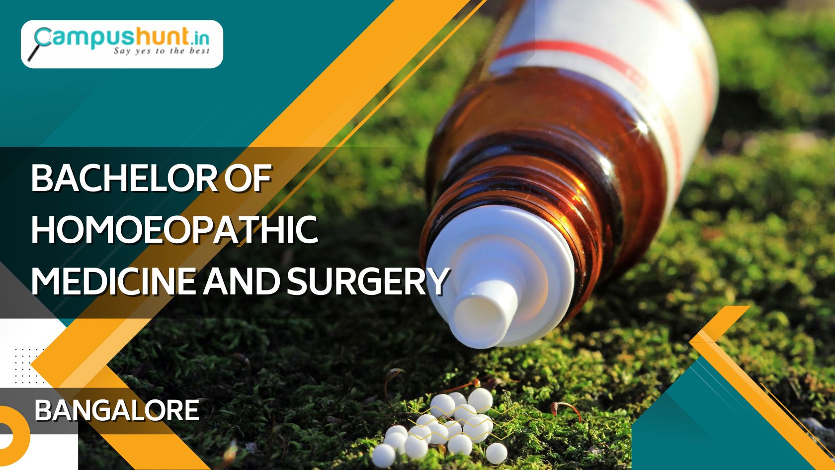 BHMS Colleges in Bangalore