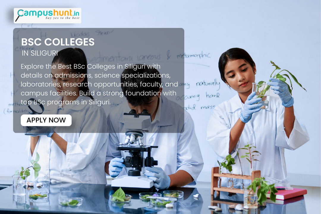 Best BSc Colleges in Siliguri