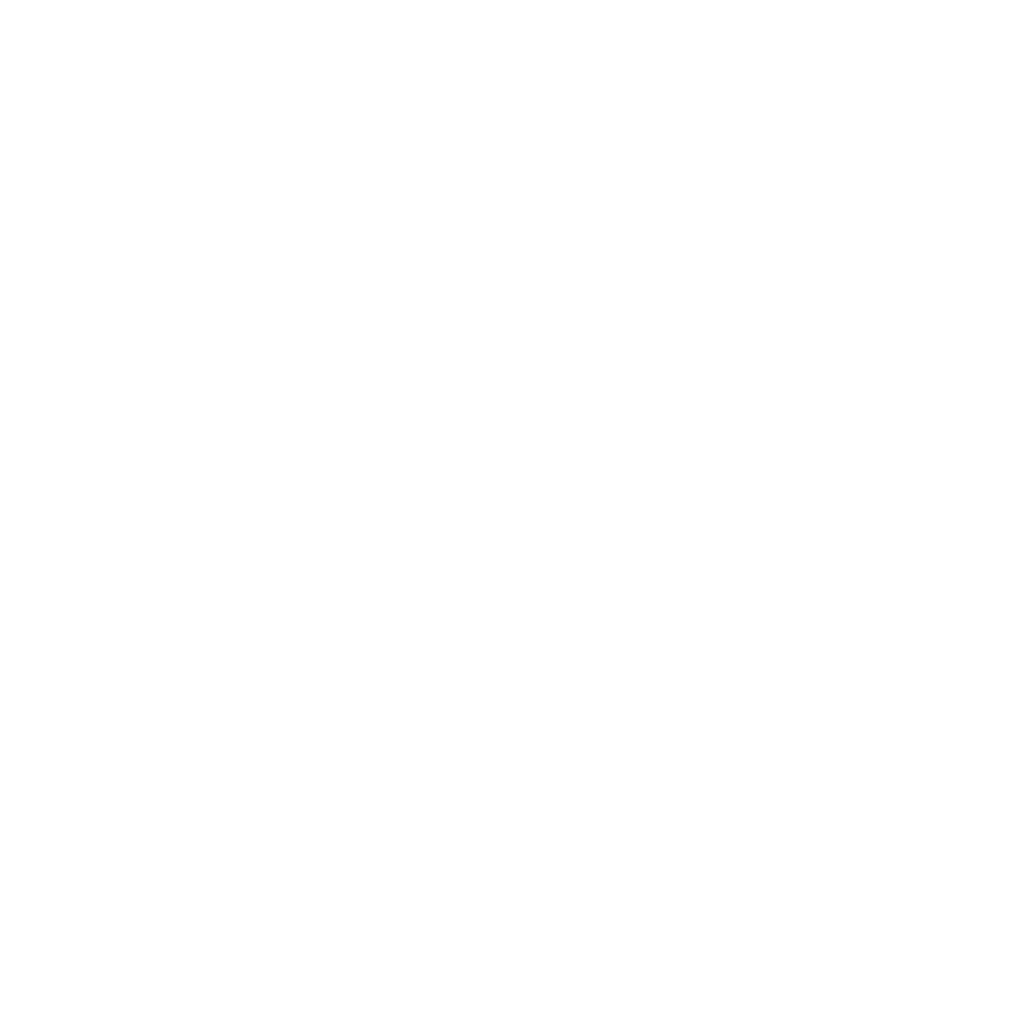Google Plus